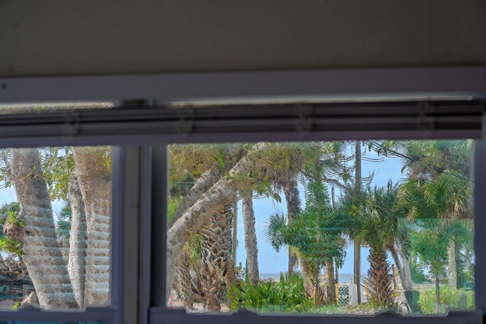 See the ocean and the beach from the living room!  
