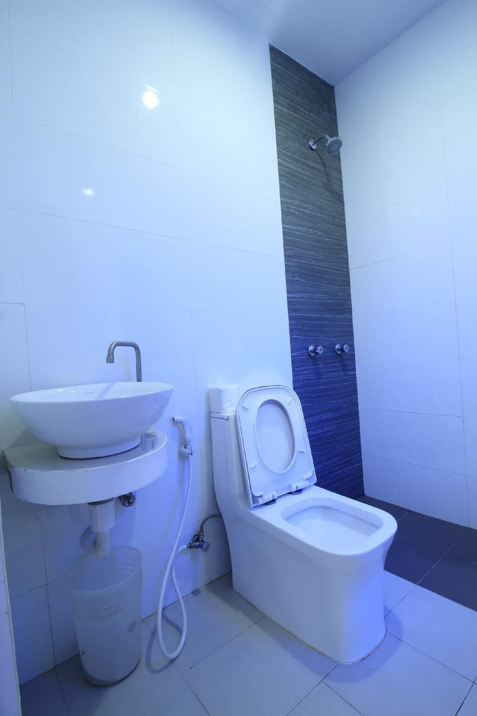 Deluxe Double Room | Bathroom | Shower, free toiletries, slippers, towels