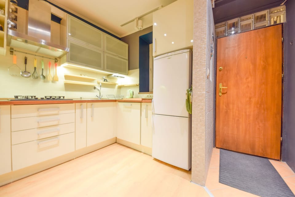 Basic Apartment, 1 Double Bed with Sofa bed, Kitchen | Private kitchen | Fridge, microwave, stovetop, dishwasher