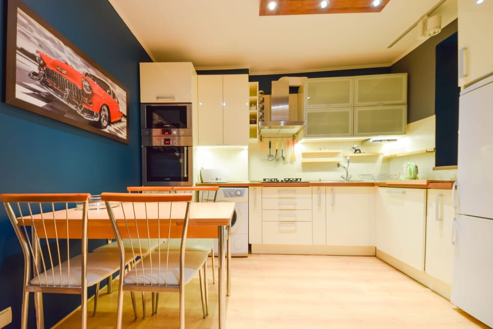 Basic Apartment, 1 Double Bed with Sofa bed, Kitchen | Private kitchen | Fridge, microwave, stovetop, dishwasher