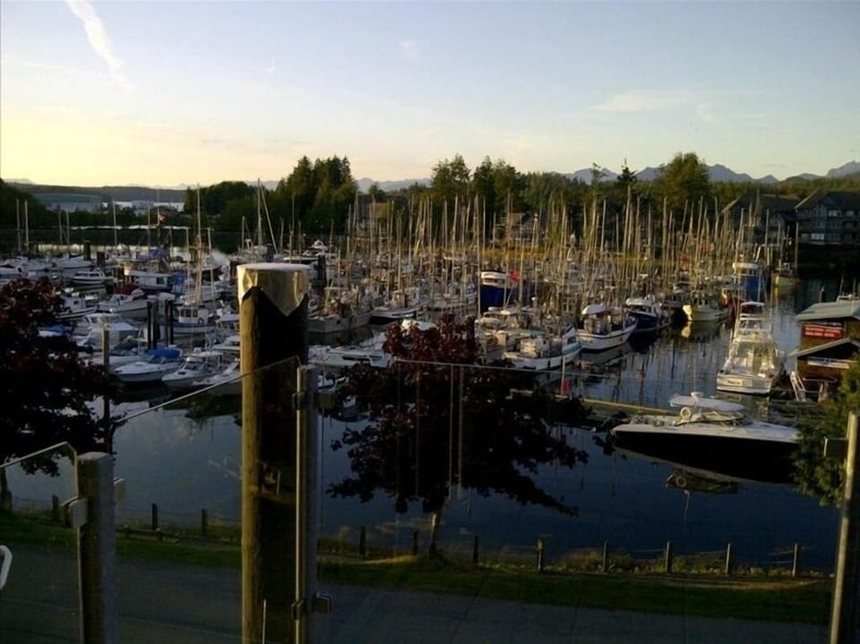 Typical summer view from our 3rd floor balcony