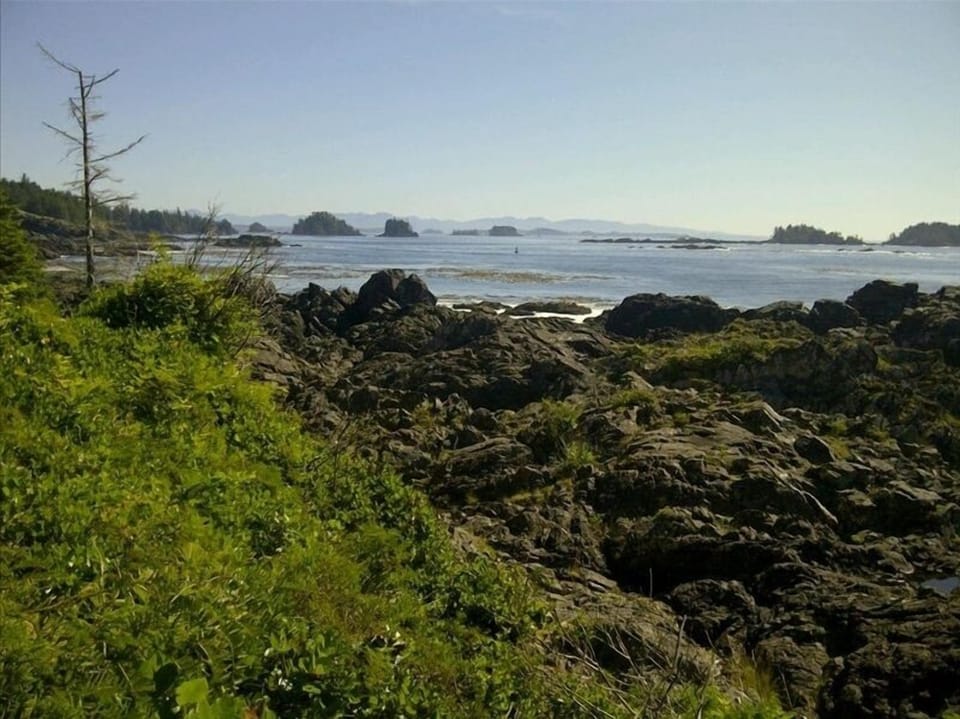 typical summer view from lighthouse trail- 5 minute drive from the Condo