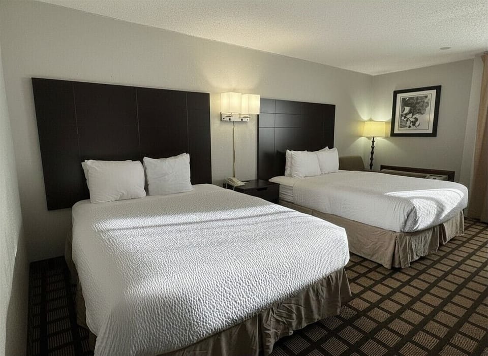 Hypo-allergenic bedding, in-room safe, desk, blackout drapes