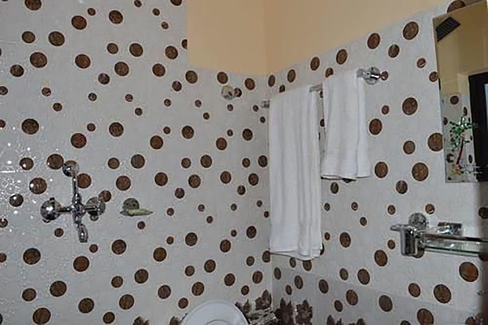 Standard Double or Twin Room, 1 Double Bed, Private Bathroom, Courtyard View | Bathroom | Shower, free toiletries, slippers, towels