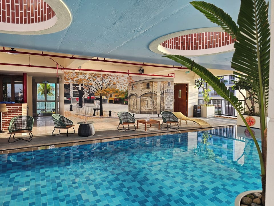Outdoor pool, sun loungers