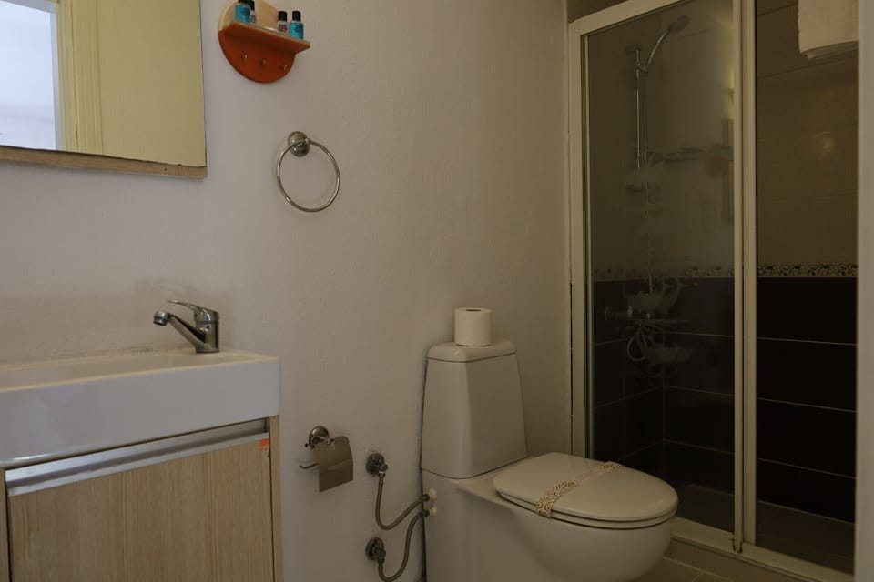 Economy Double Room | Bathroom | Shower, hair dryer, slippers
