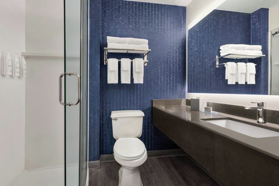 Combined shower/tub, free toiletries, hair dryer, towels