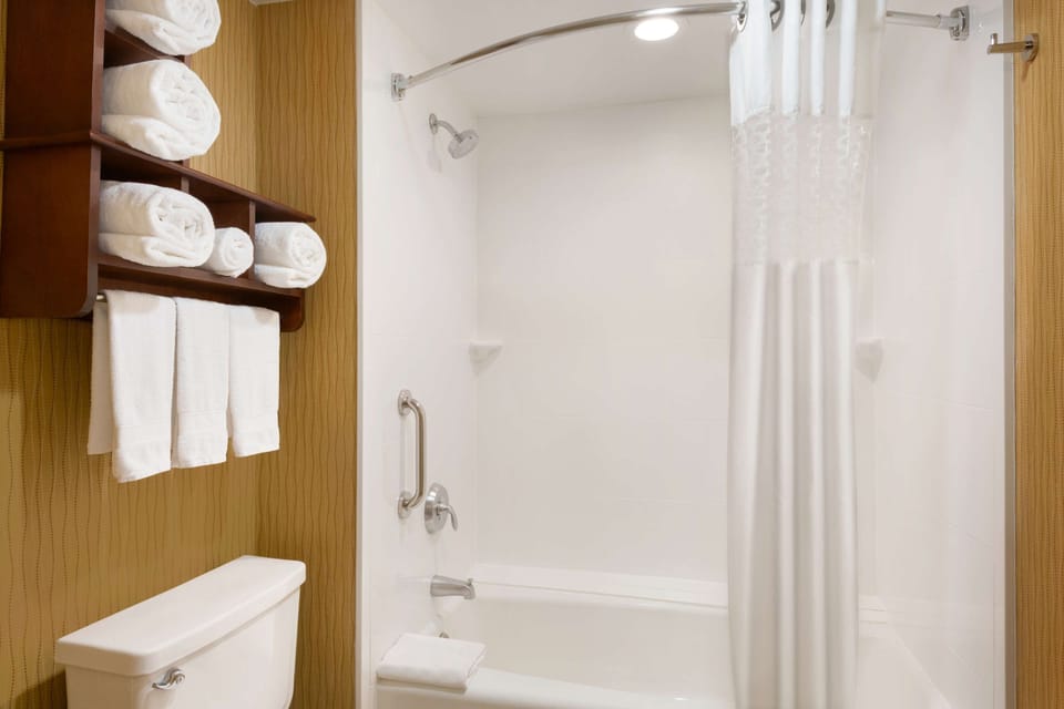 Combined shower/tub, free toiletries, hair dryer, towels
