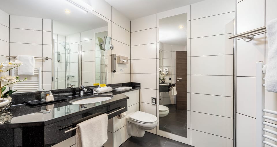 Comfort Double Room Single Use | Bathroom | Shower, free toiletries, hair dryer, towels