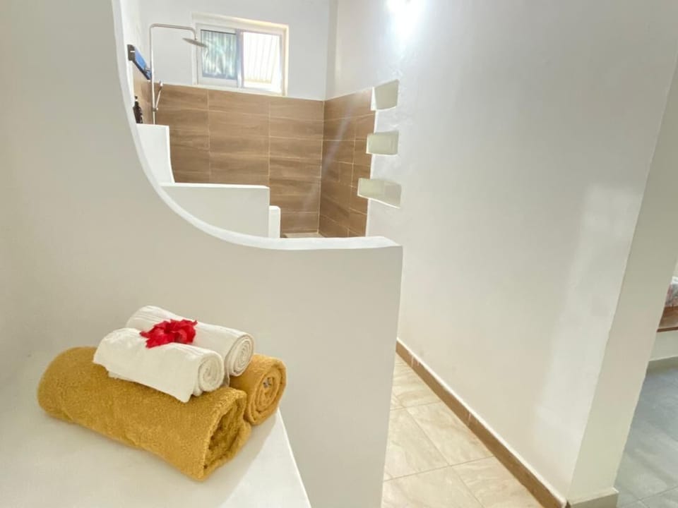 Standard Double or Twin Room | Bathroom | Shower, free toiletries, slippers, bidet
