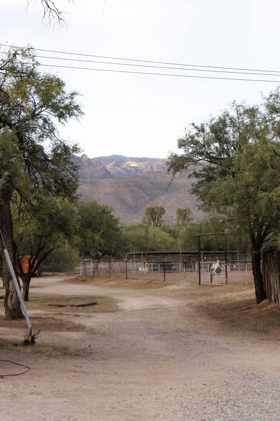 The driveway leading to the casita sets the stage for your vacation perfectly.