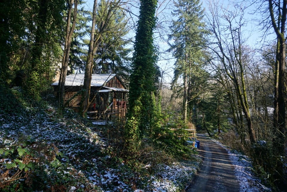 Near the end of one of the only dirt roads in Seattle is our Tiny Tipsy Cabin