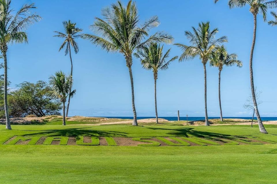 Peaceful beachfront lawn with towering palms and refreshing ocean breezes