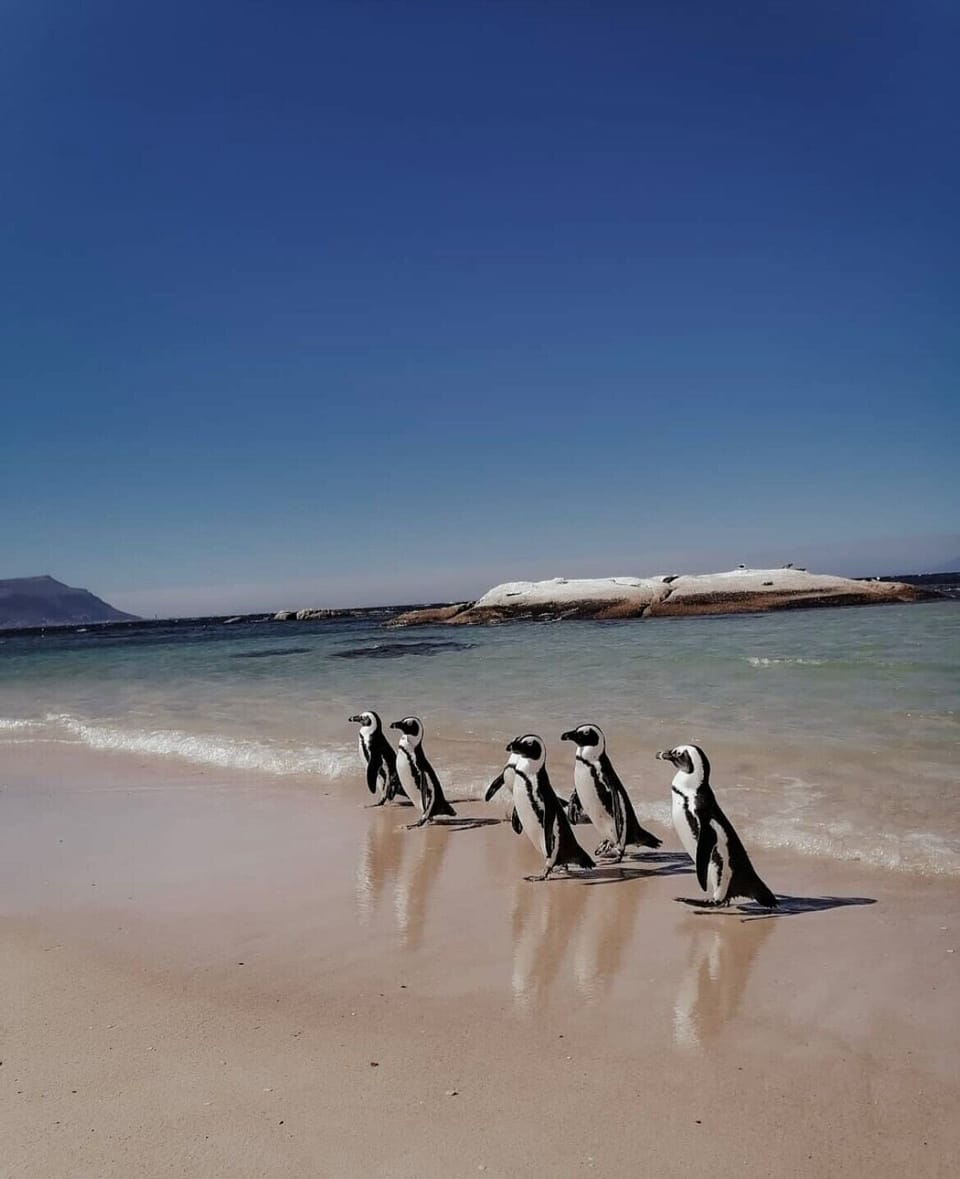 Chartfield Guesthouse Bed and Breakfast in Cape Town