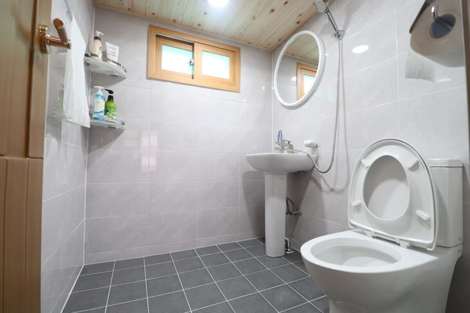 Shower, free toiletries, hair dryer, bidet