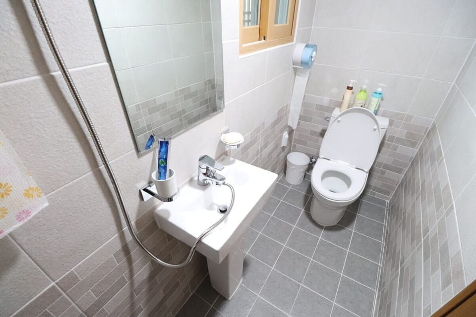 Shower, free toiletries, hair dryer, bidet