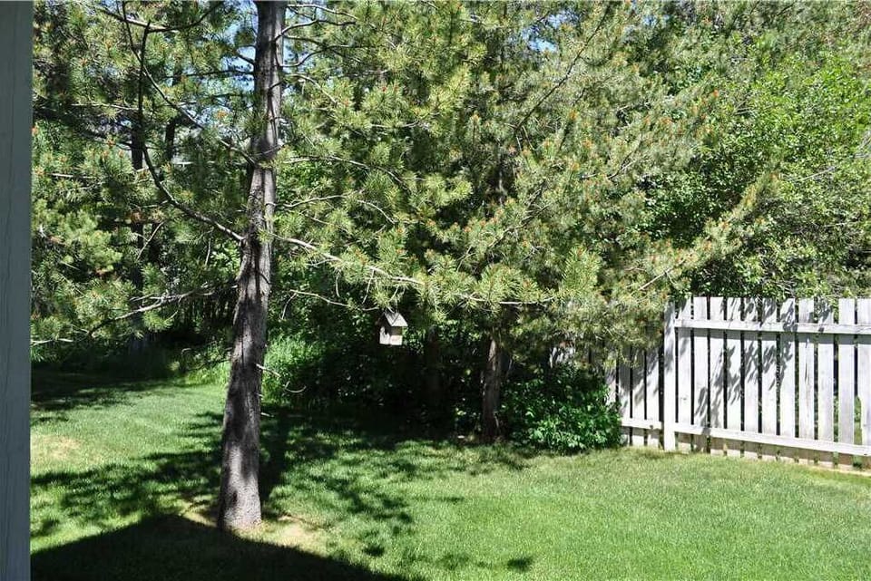 View from Deck