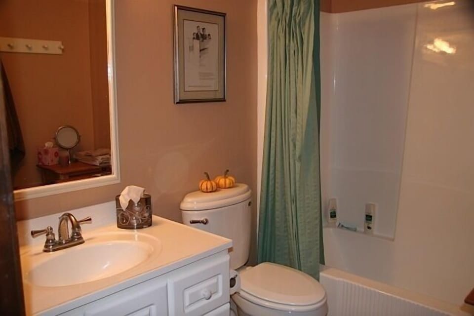 Main floor bath with tub and shower