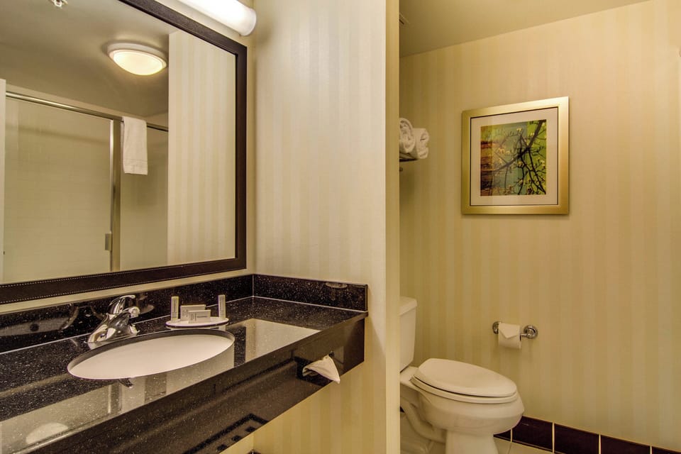 Hair dryer, towels