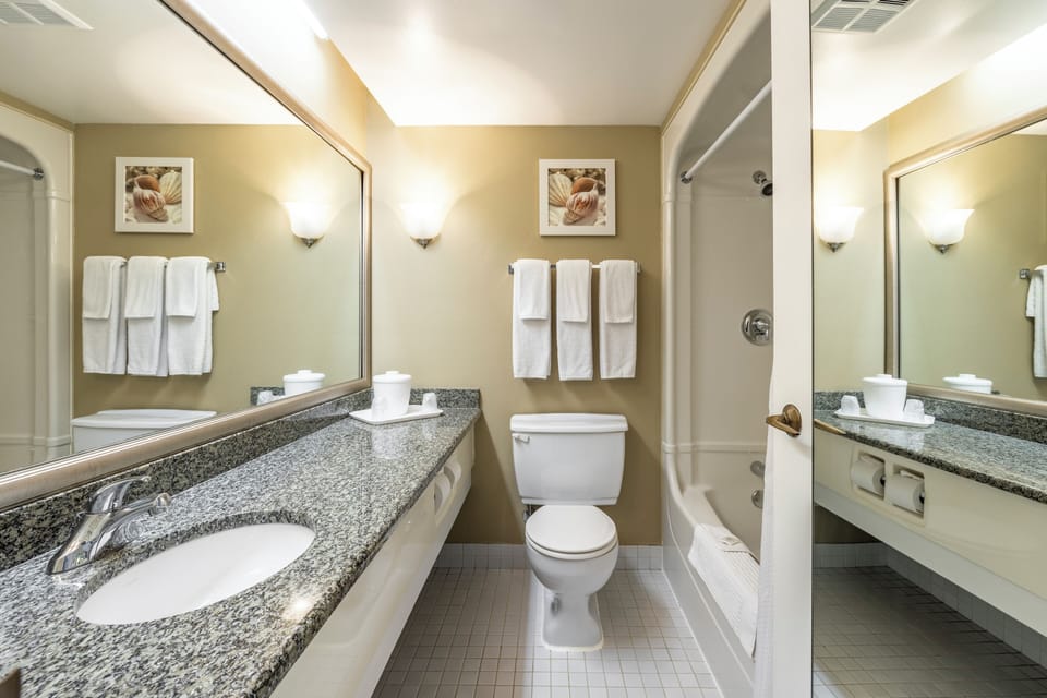 Standard Room, 1 Queen Bed with Sofa bed | Bathroom | Combined shower/tub, eco-friendly toiletries, hair dryer, towels