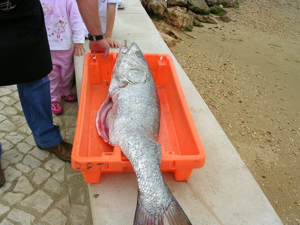 At Alvor restaurants you always get fresh 