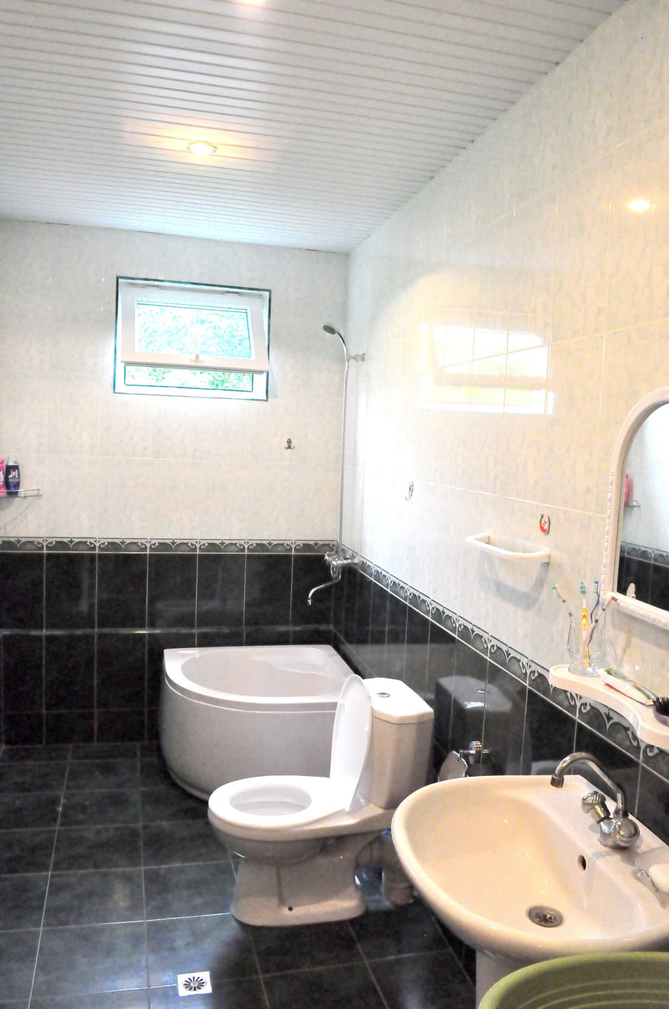 Shower, deep soaking tub, free toiletries, hair dryer