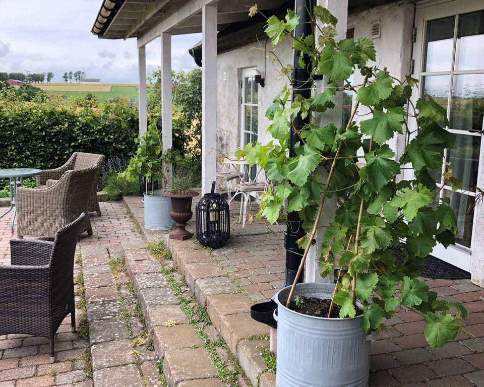 Glimminge Bed & Breakfast Bed and Breakfast in Skåne County