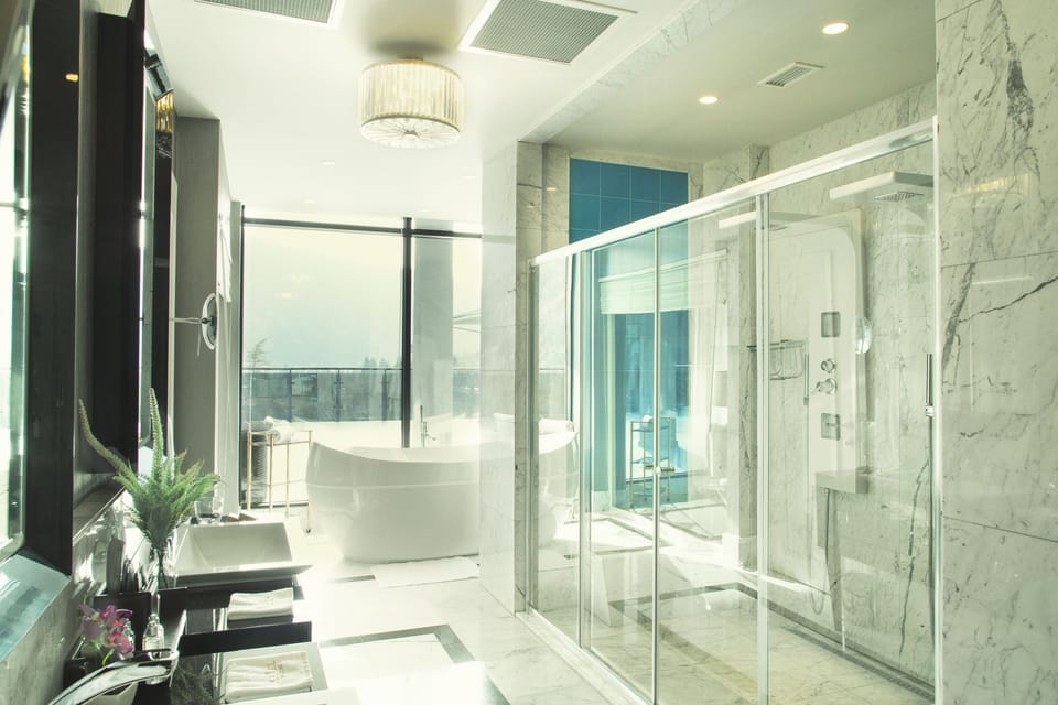Presidential Suite | Bathroom shower