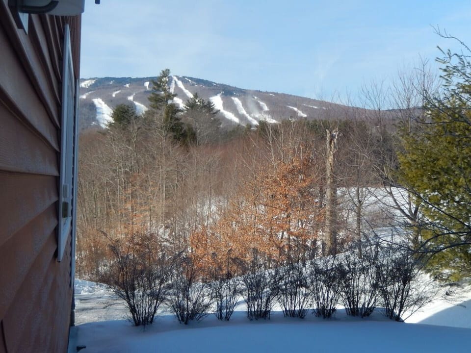 Big Okemo Views!