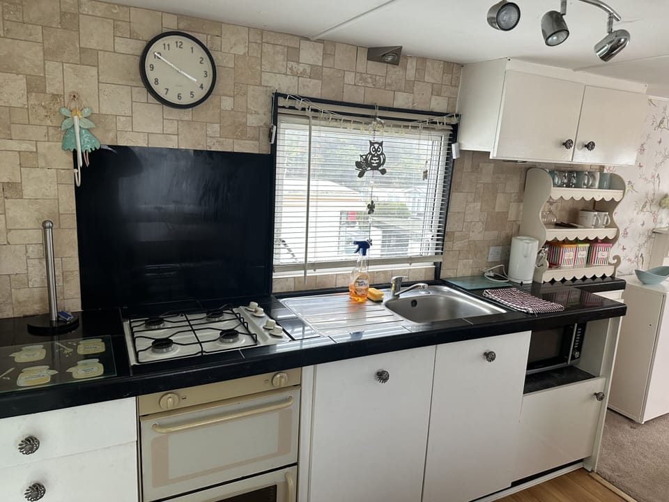Classic Mobile Home, Private Bathroom, Courtyard View | Private kitchen