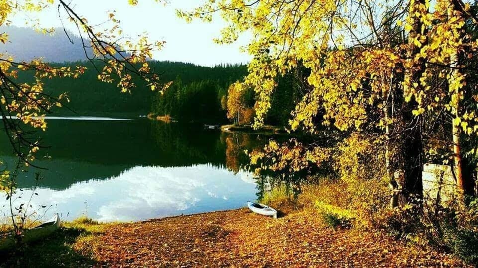 Sppon Lake, Columbia Falls