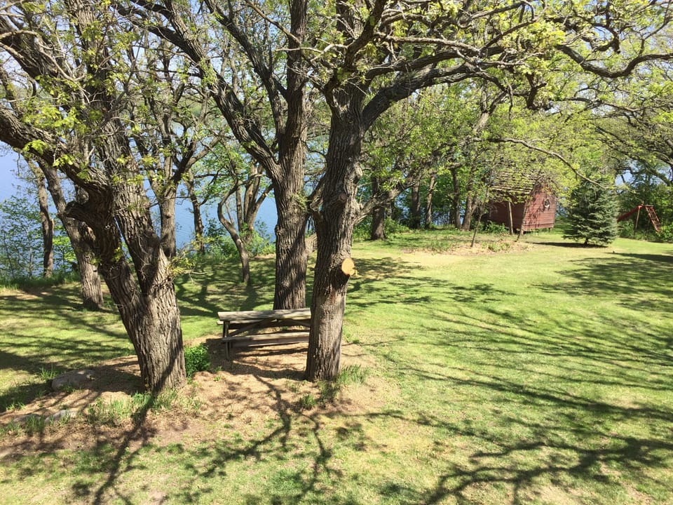 Outdoor picnic table and "fort"
