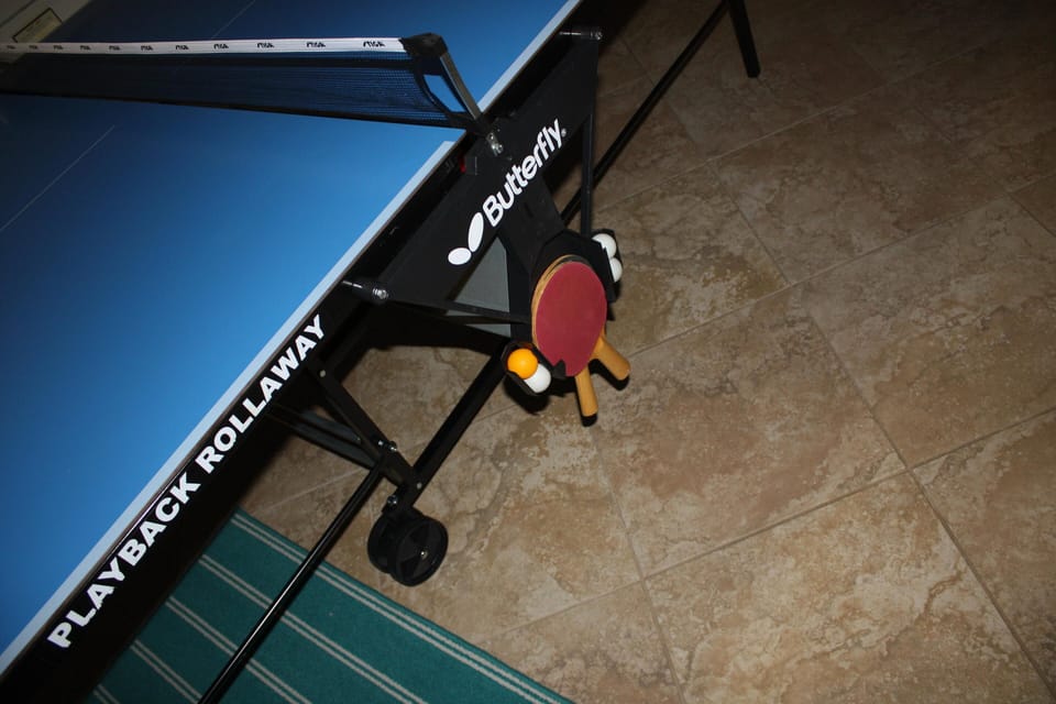 Ping Pong Table