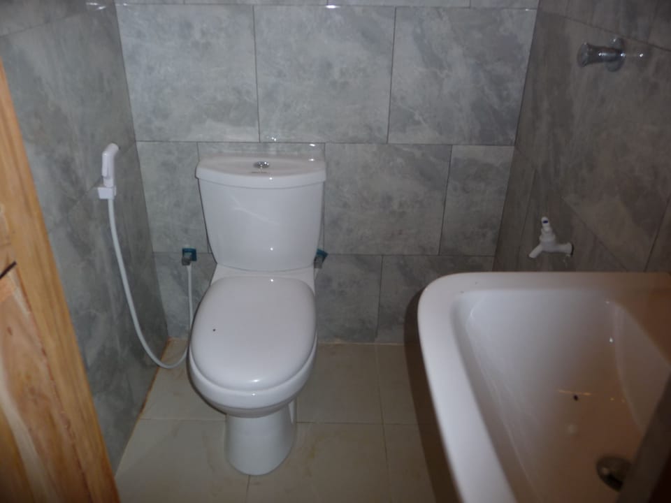 Basic Triple Room | Bathroom | Shower, free toiletries