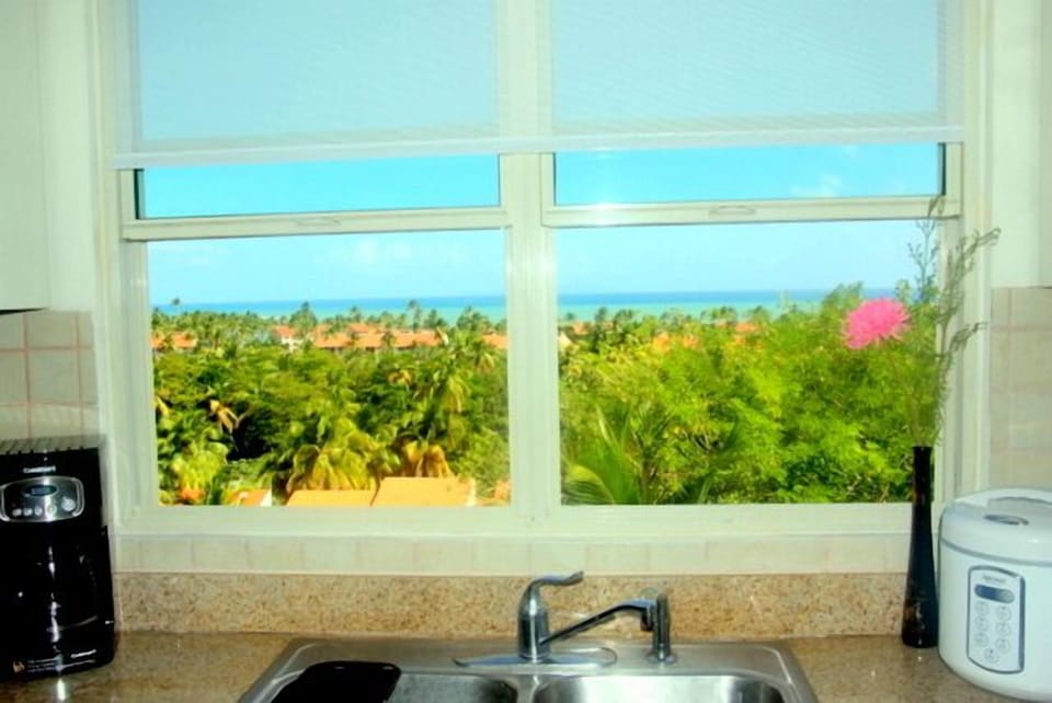 View from Kitchen