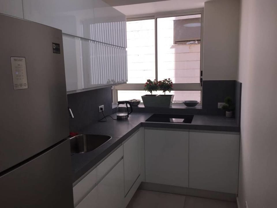 Deluxe Apartment, 3 Bedrooms | Private kitchenette | Coffee/tea maker, fridge, microwave, stovetop
