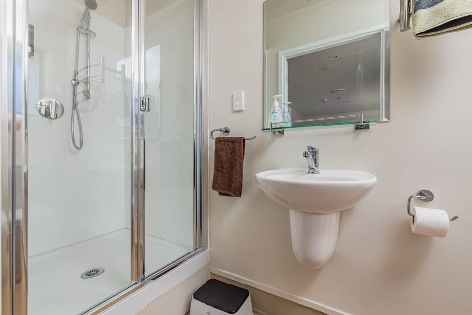 Triple Room, Multiple Beds | Bathroom | Shower, rainfall showerhead, free toiletries, hair dryer