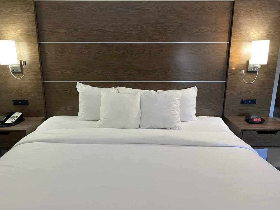 Suite, 1 Queen Bed, Accessible, Non Smoking | Desk, laptop workspace, blackout drapes, iron/ironing board