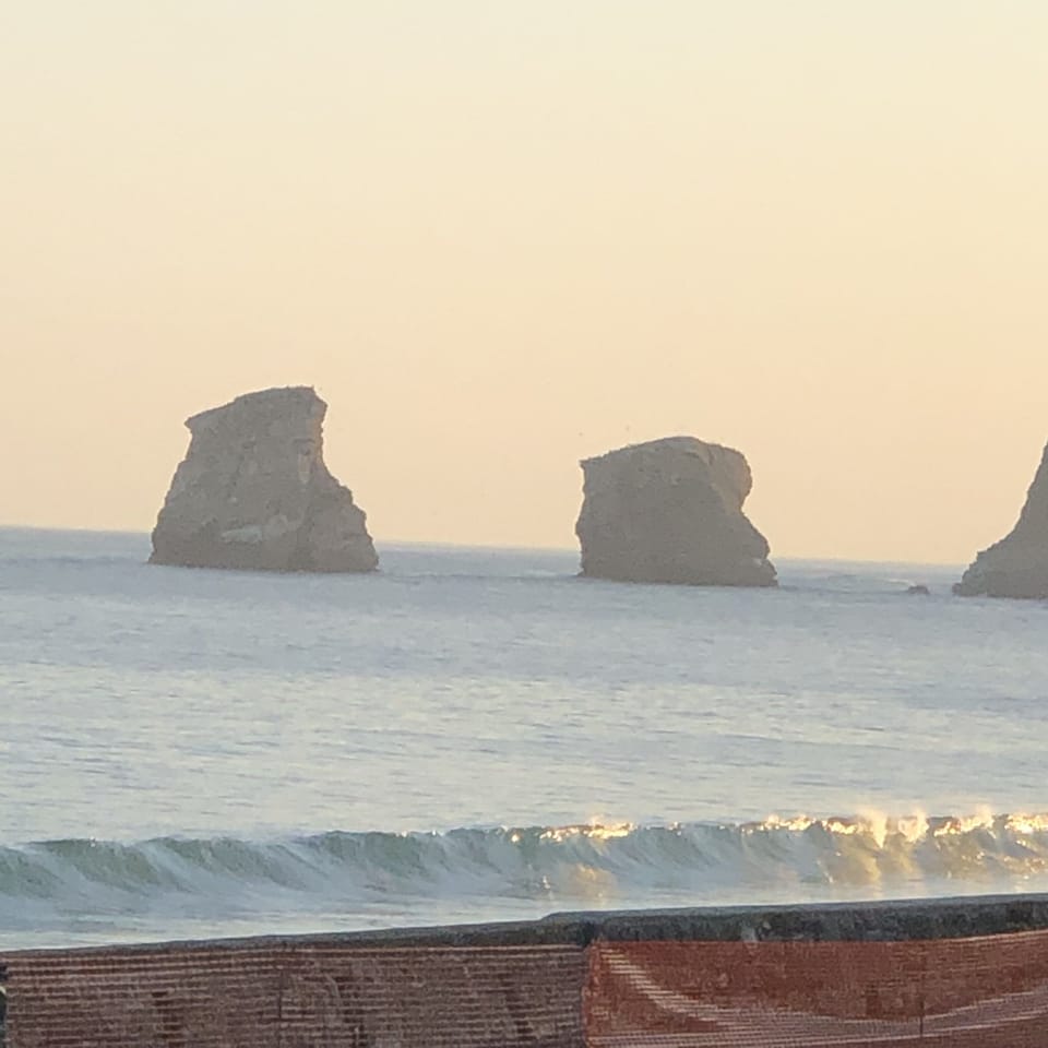 Double Room, Terrace, Oceanfront | View from room