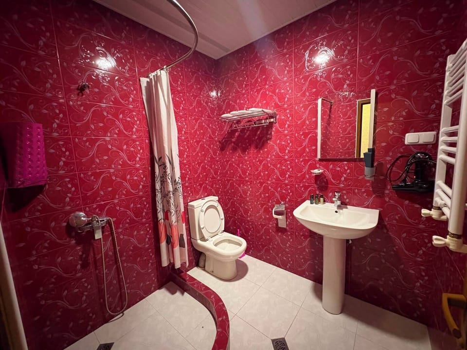 Family Suite, 2 Bedrooms, City View - 202 | Bathroom | Shower, free toiletries, hair dryer, bathrobes
