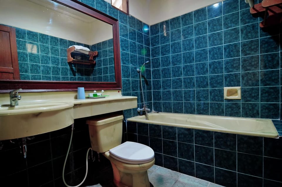 Shower, free toiletries, bidet, towels