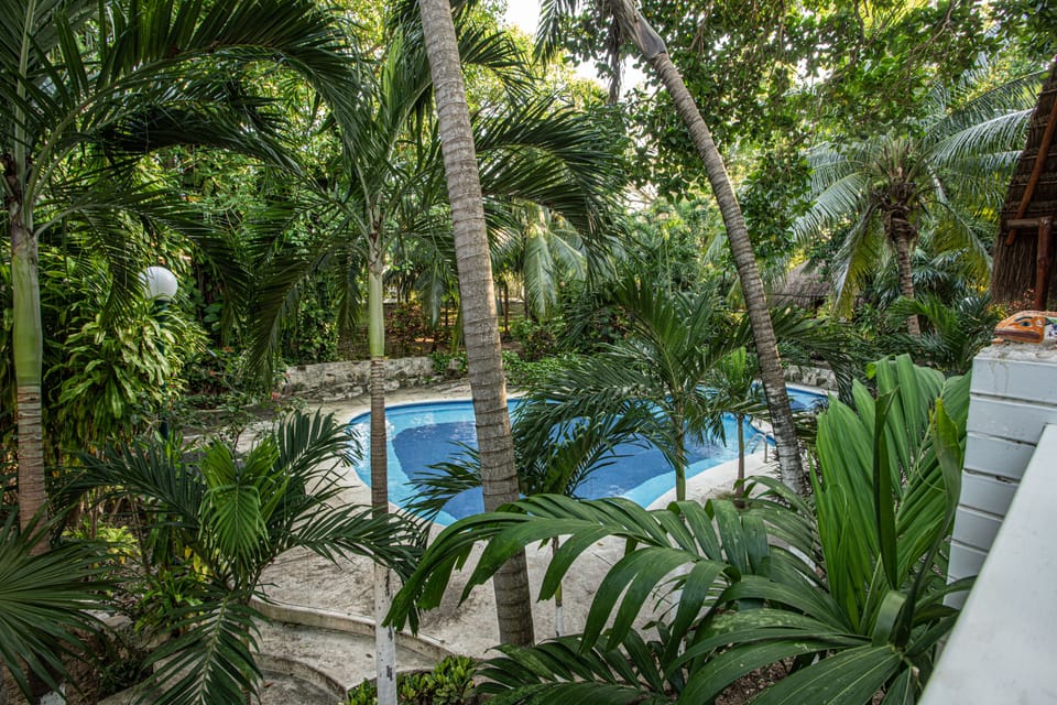 The big shared pool in the garden