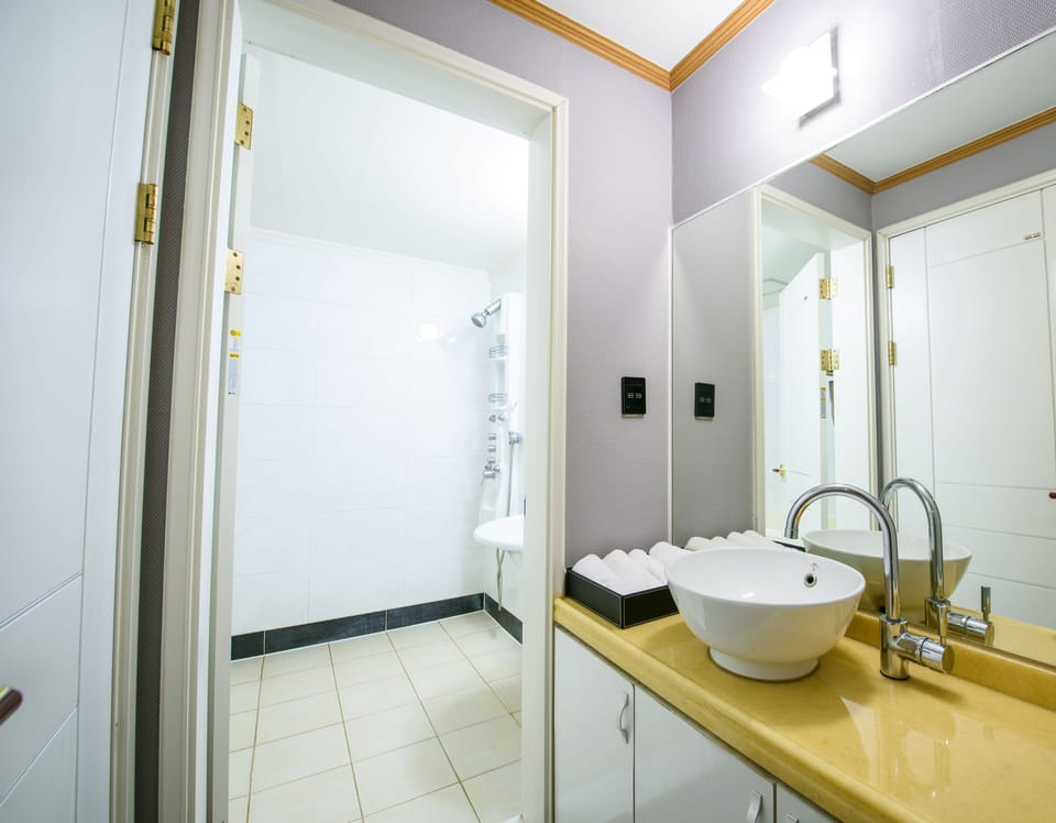 Deluxe Double Room | Bathroom | Free toiletries, hair dryer, bathrobes, slippers