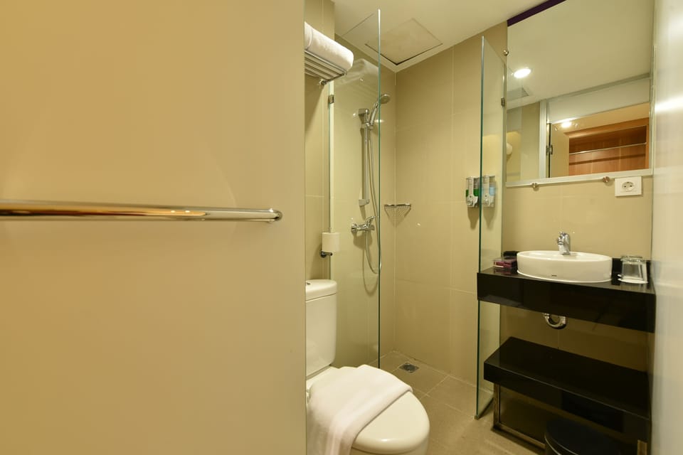 Standard Double Room | Bathroom | Shower, free toiletries, hair dryer (on request), slippers