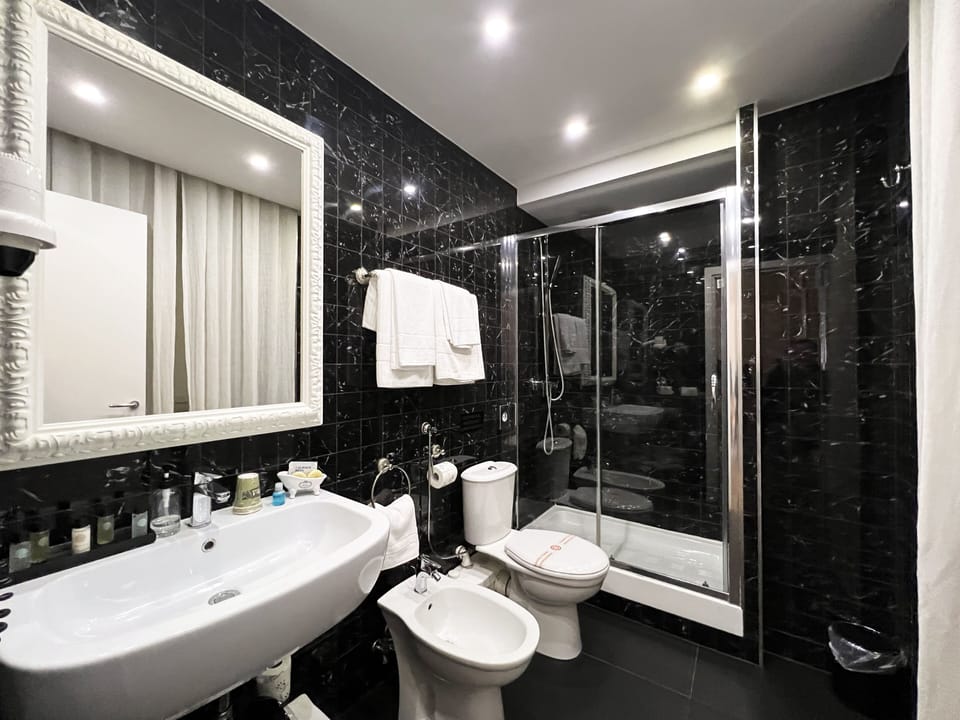 Deluxe Double Room | Bathroom | Shower, free toiletries, hair dryer, bathrobes