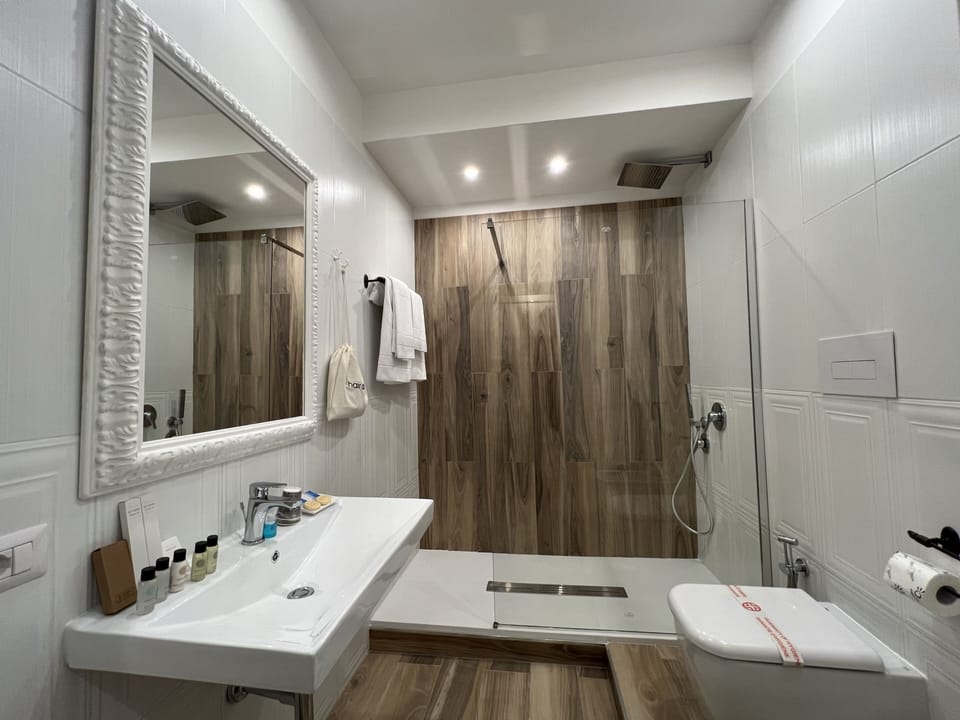 Deluxe Room | Bathroom | Shower, free toiletries, hair dryer, bathrobes