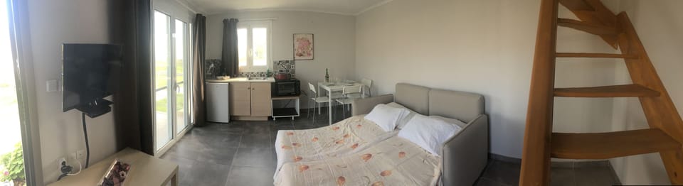Basic Apartment | Iron/ironing board (on request), WiFi (free), bed sheets