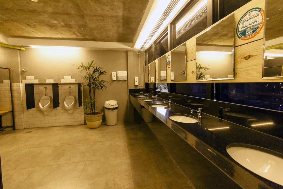 Shower, hair dryer, toilet paper