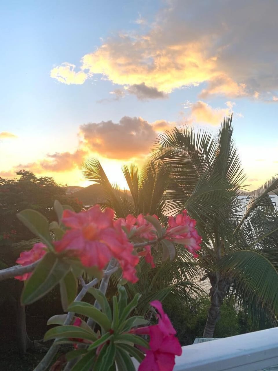 View from upper deck as sun is going down.