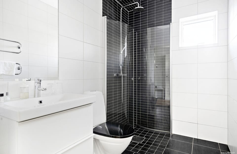 Shower, hair dryer, towels, toilet paper